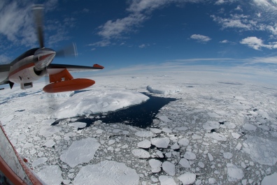 Flight out over pack ice, looking for Minke whales